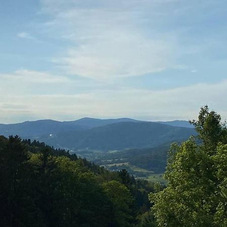 URIG / Mitten im Bayerischen Wald + Schönblick + NETFLIX Schöfweg Exterior foto