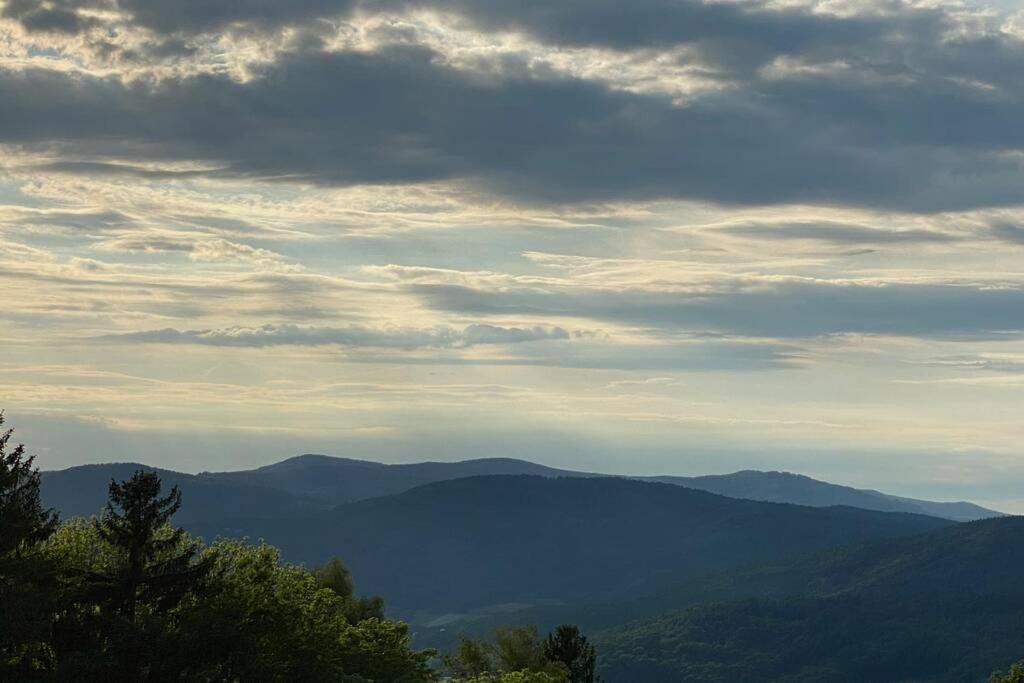 URIG / Mitten im Bayerischen Wald + Schönblick + NETFLIX Schöfweg Exterior foto